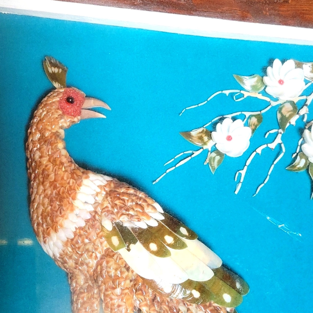 Seashell Peacock Framed Pucture